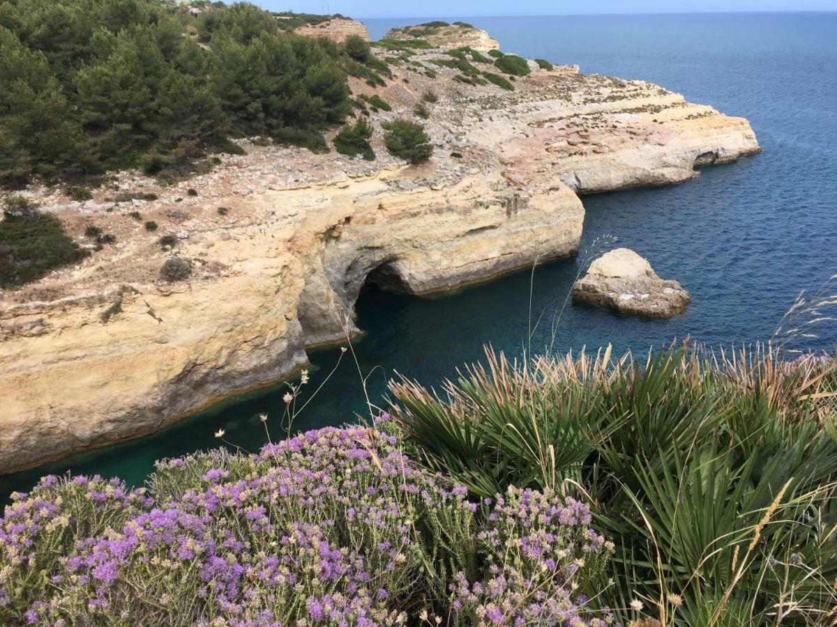 Casa As Gaivotas Daire Carvoeiro  Dış mekan fotoğraf